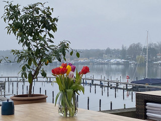 Blick von der Terrasse auf den Wannsee Blick von der Terrasse auf den Wannsee