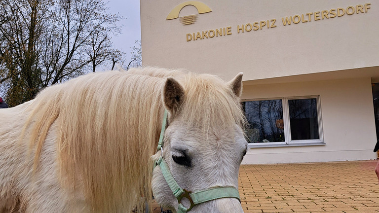 Pony zu Besuch im Diakonie Hospiz Woltersdorf Pony zu Besuch im Diakonie Hospiz Woltersdorf