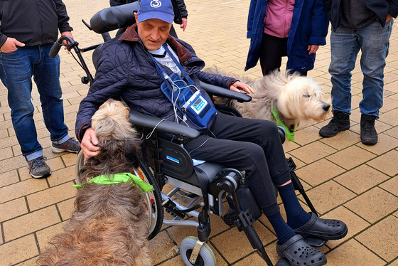 Ein freundiges Wiedersehen mit den Hunden Tom & Betty Ein freundiges Wiedersehen mit den Hunden Tom & Betty